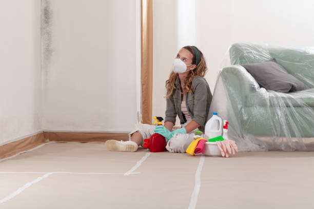 Reliable Mold Removal contractor in Clackamas, OR by Car Mold Remediation